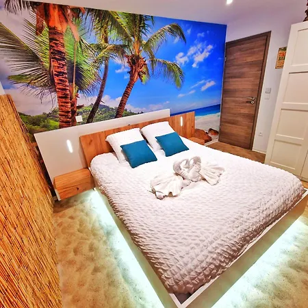 アパート Playa Spa-4 Pers-jacuzzi-parking-jardin-clim-colmar Muntzenheim