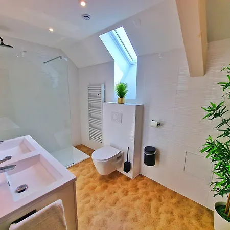 Playa Spa-4 Pers-jacuzzi-parking-jardin-clim-colmar アパート *