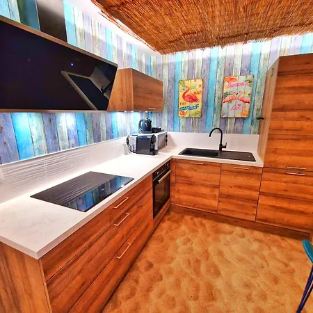 Apartament Playa Spa-4 Pers-jacuzzi-parking-jardin-clim-colmar Muntzenheim