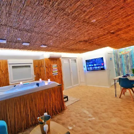Playa Spa-4 Pers-jacuzzi-parking-jardin-clim-colmar